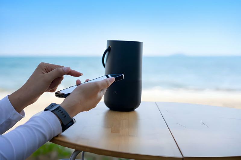 Portable Speakers & Docks